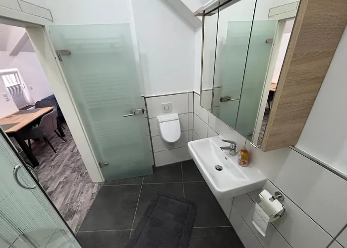 Zur Froehlichkeit Ii *